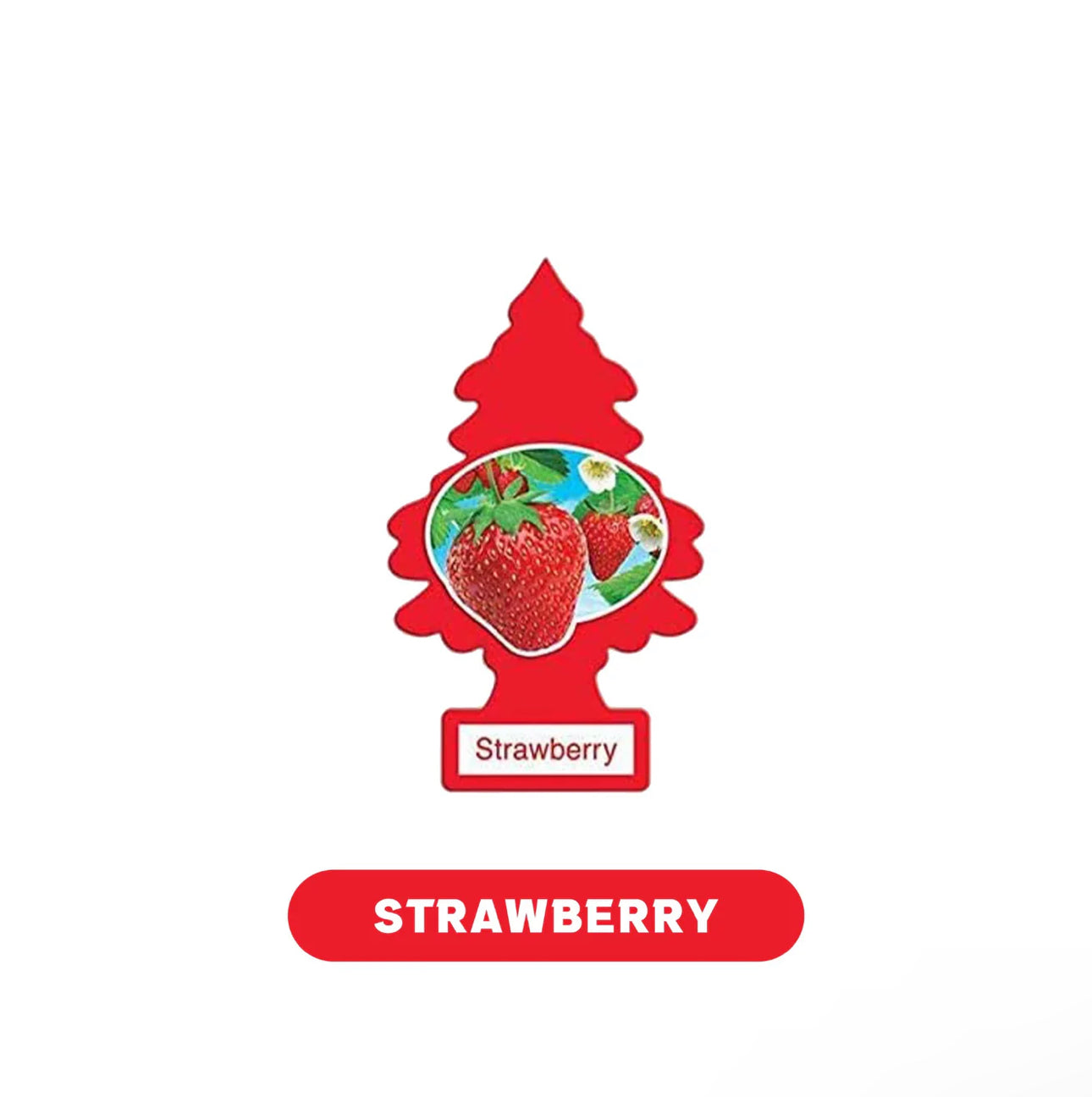 Little Tree Air Fresheners 1pk-24ct - A1 WHOLESALE LLC