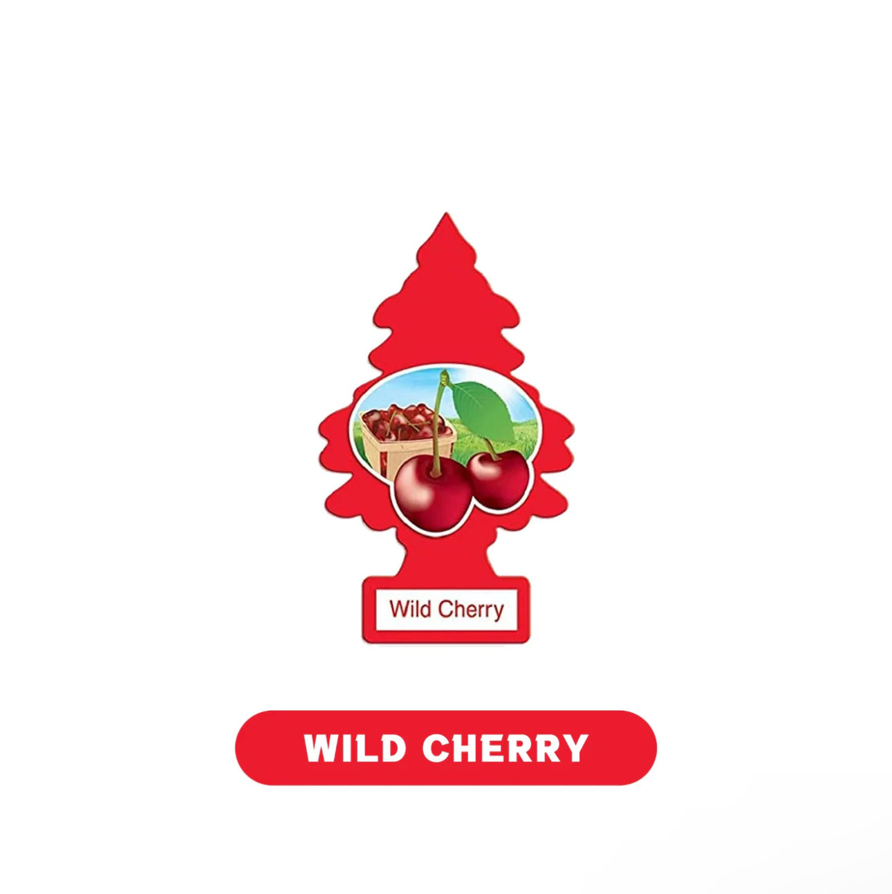 Little Tree Air Fresheners 1pk-24ct - A1 WHOLESALE LLC